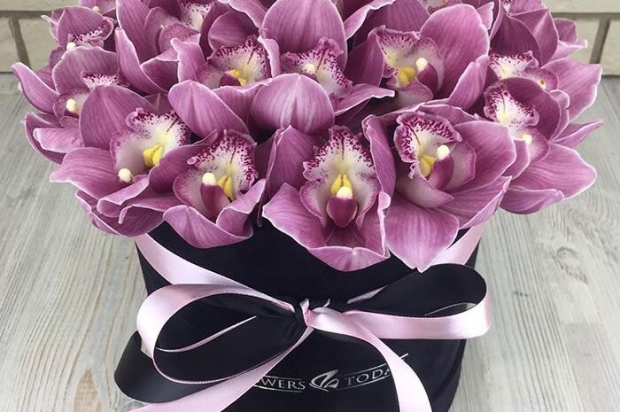  Доставка цветов ко дню рождения в Единецкий район: как продлить жизнь букету орхидей