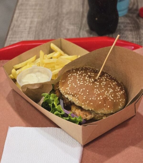 CHICKEN BURGER & FRIES