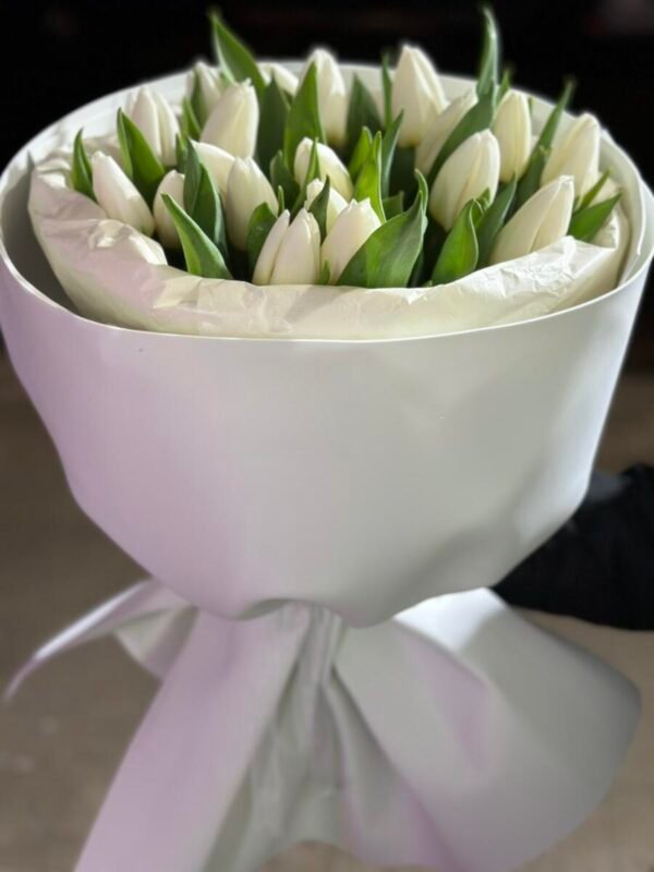 Зимняя свежесть